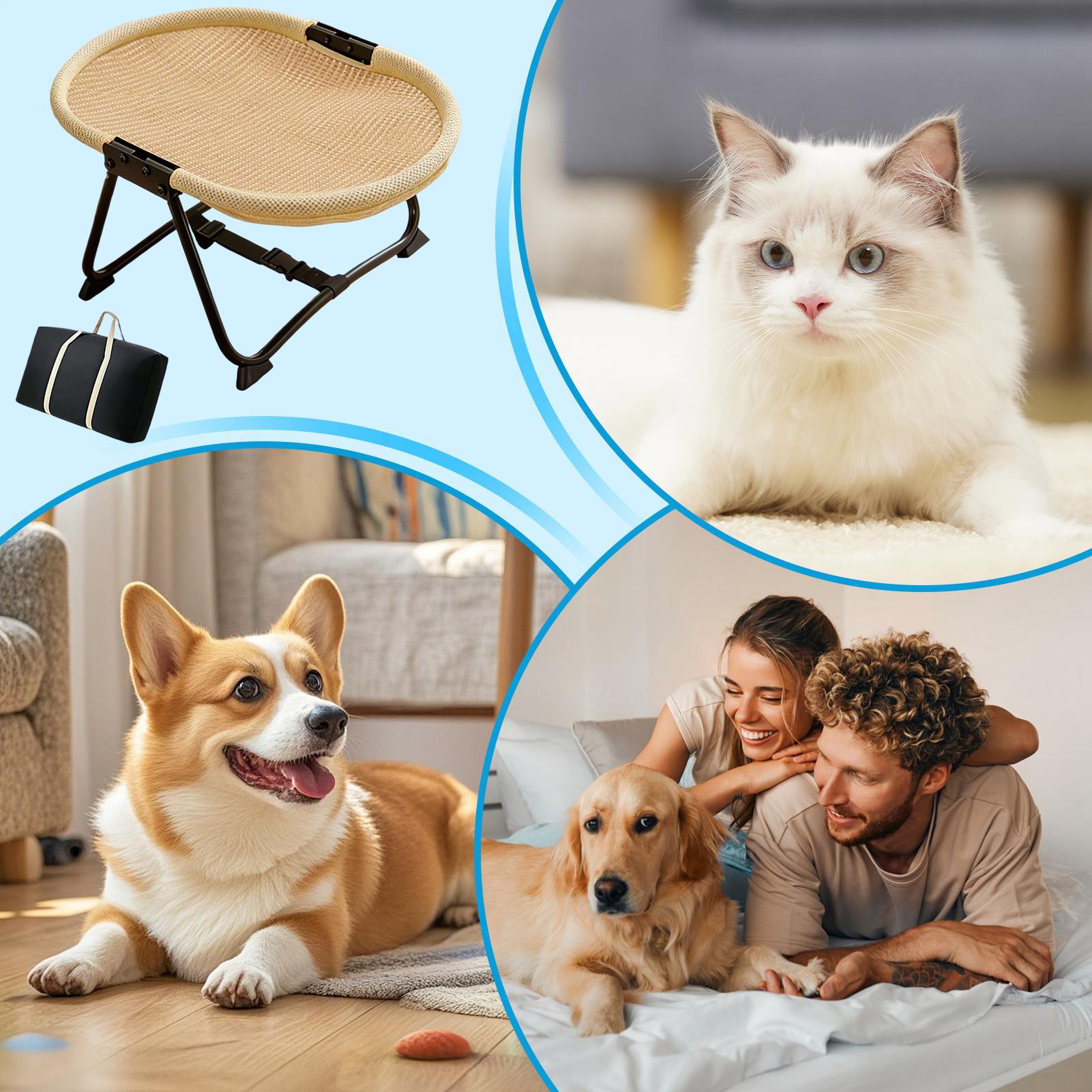 เตียงนอนสุนัขแบบพับได้ เปลนุ่ม - Outdoor Camping Dog Bed บทวิจารณ์และราคา