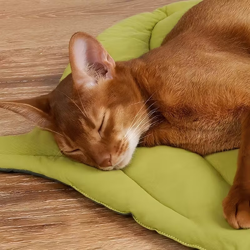 เบาะรองนอนสัตว์เลี้ยงแบบนุ่ม ก - Outdoor Camping Dog Bed บทวิจารณ์และราคา