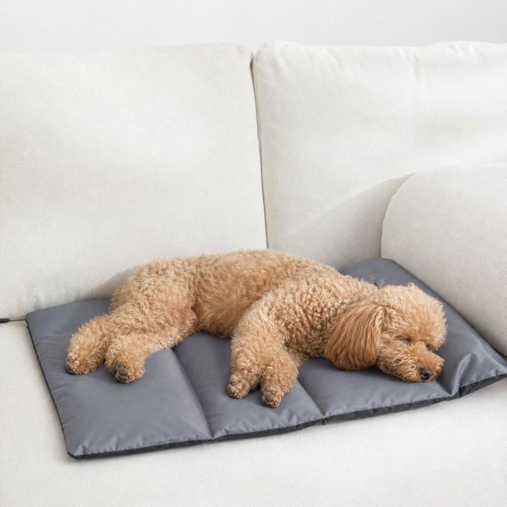 เสื่อพับได้สำหรับสัตว์เลี้ยง ก - Outdoor Camping Dog Bed บทวิจารณ์และราคา