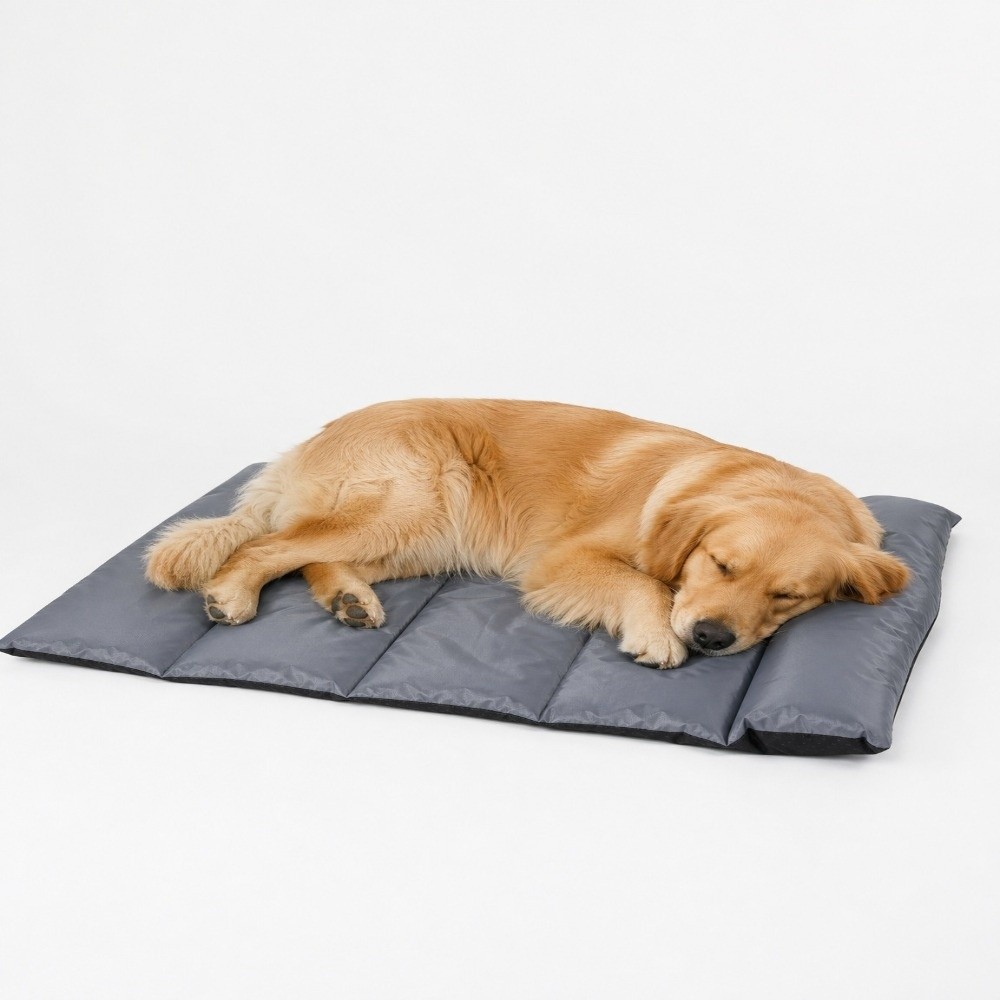 เสื่อพับได้สำหรับสัตว์เลี้ยง ก - Outdoor Camping Dog Bed บทวิจารณ์และราคา