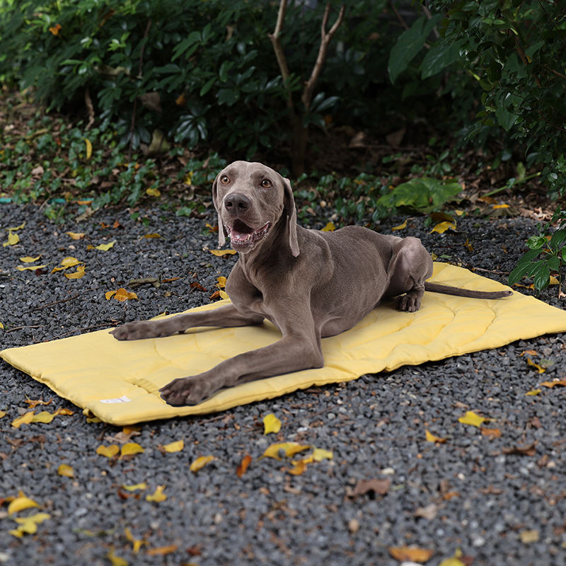 เสื่อสัตว์เลี้ยงแบบพกพาพับได้อ - Outdoor Camping Dog Bed บทวิจารณ์และราคา