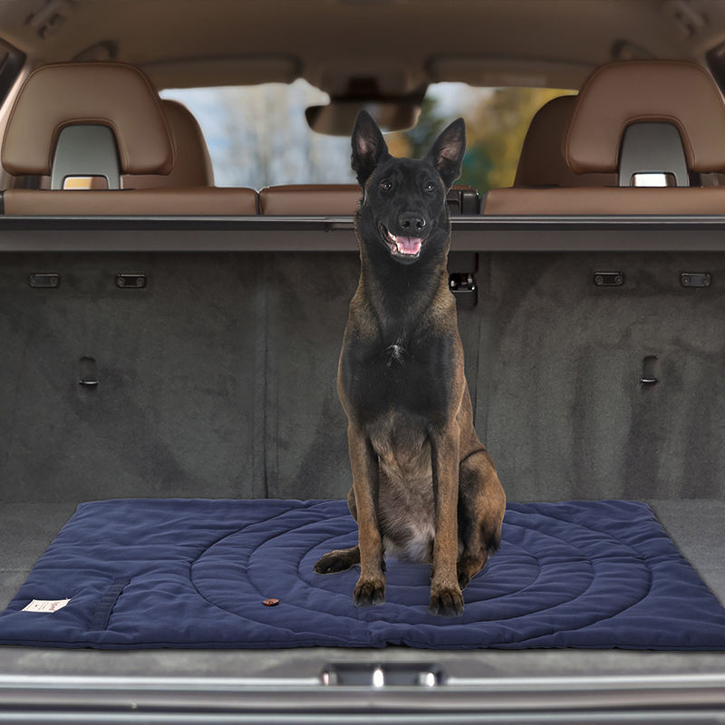 เสื่อสัตว์เลี้ยงแบบพกพาพับได้อ - Outdoor Camping Dog Bed บทวิจารณ์และราคา