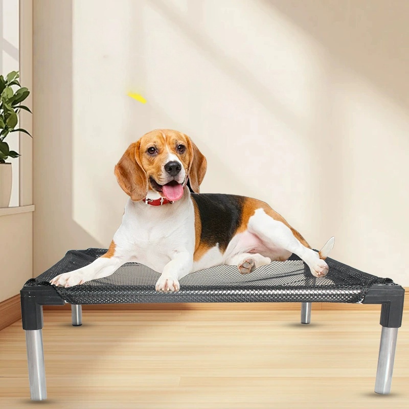 Cooling Liqued Dog Bed - ยกสํา - Outdoor Camping Dog Bed บทวิจารณ์และราคา