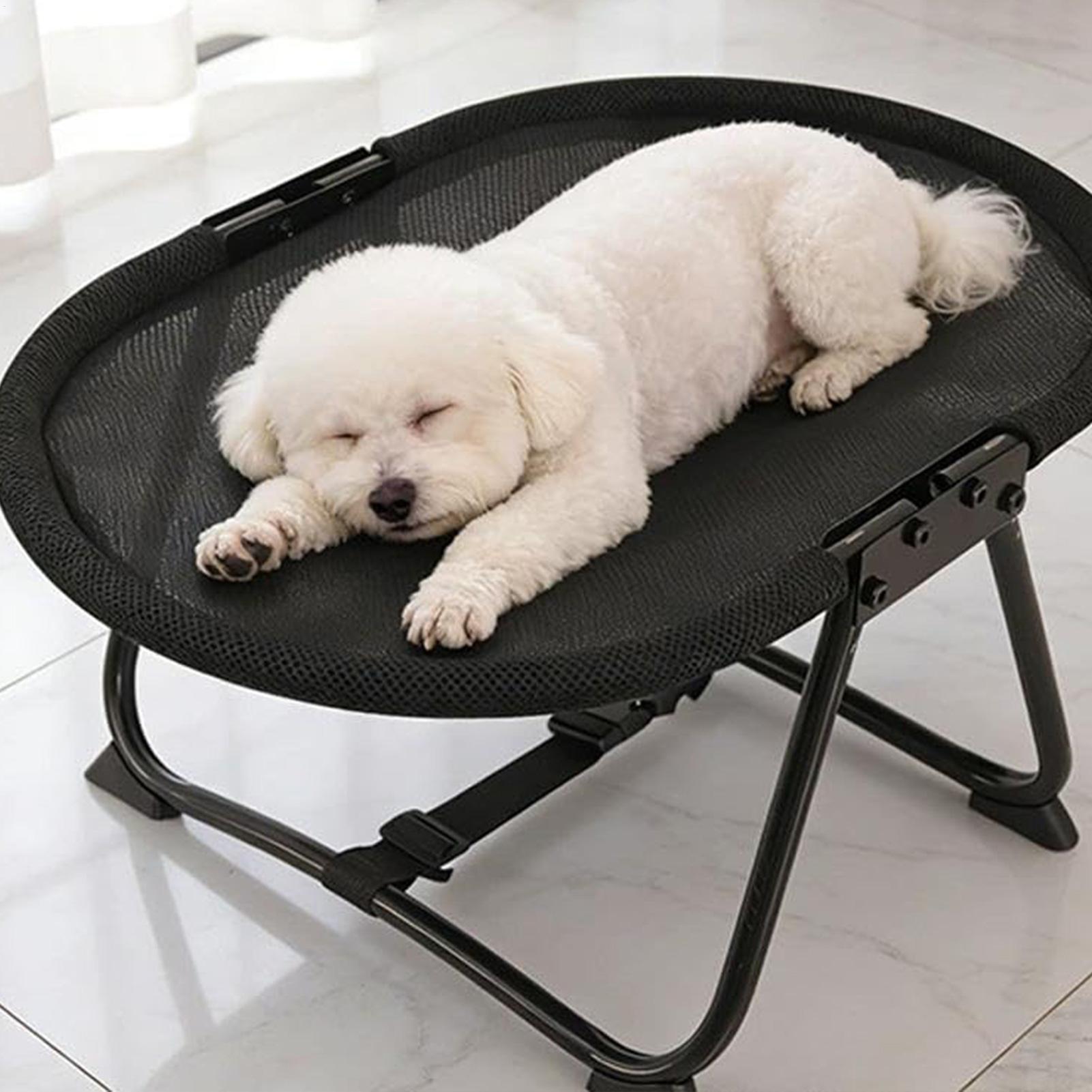 เตียงนอนสุนัขแบบพับได้ ระบายอา - Outdoor Camping Dog Bed บทวิจารณ์และราคา