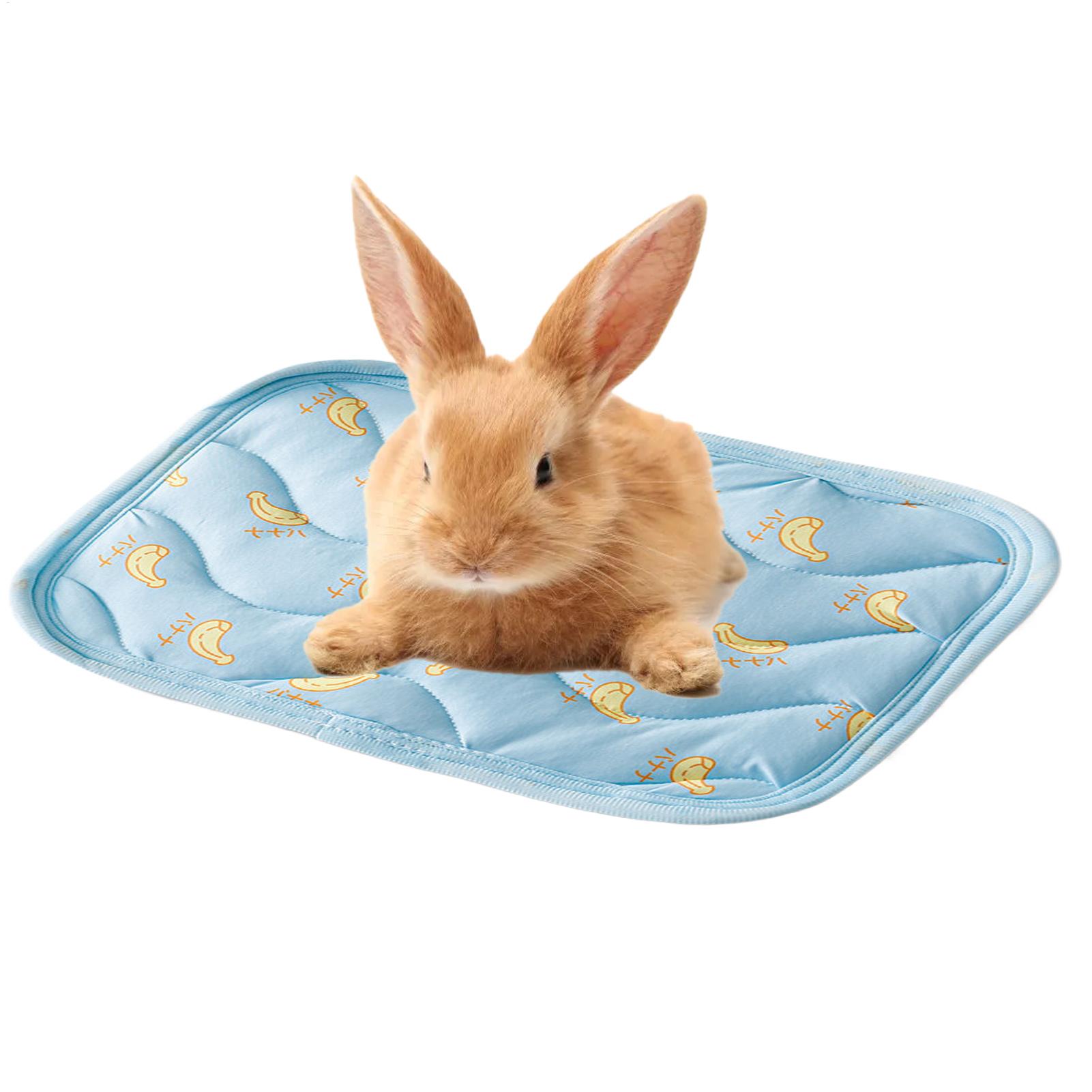 แผ่นรองทำความเย็นสำหรับสัตว์เล - Outdoor Camping Dog Bed บทวิจารณ์และราคา