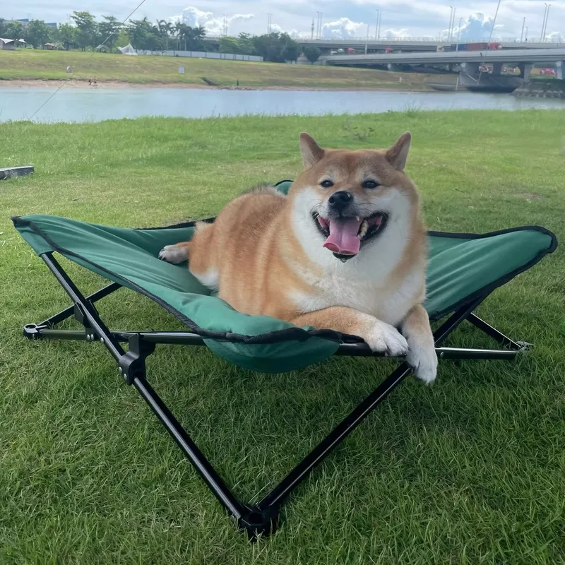 เตียงสุนัขพกพาทันสมัยหรูหรา แผ - Outdoor Camping Dog Bed บทวิจารณ์และราคา